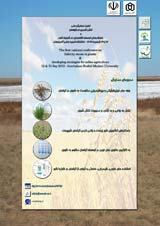 پوستر اولین همایش ملی تنش شوری در گیاهان و راهکارهای توسعه کشاورزی در شرایط شور