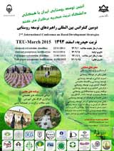 پوستر دومین کنفرانس بین المللی راهبردهای توسعه روستایی
