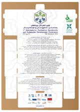 پوستر اولین کنفرانس بین المللی بسته بندی، صنایع دستی و توسعه پایدار 