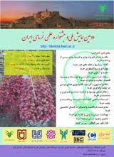 پوستر دومین همایش ملی و جشنواره علمی خرمای ایران
