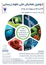 پوستر دومین همایش ملی علوم زیستی