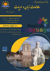 پوستر دومین کنفرانس بین المللی یافته های پژوهشی در مطالعات زبان و ادبیات