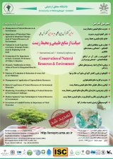 پوستر اولین کنفرانس بین المللی و چهارمین کنفرانس ملی صیانت از منابع طبیعی و محیط زیست