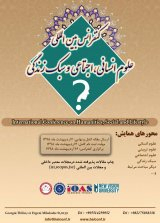 پوستر دومین کنفرانس بین المللی علوم انسانی،اجتماعی و سبک زندگی