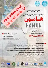 پوستر کنفرانس بین المللی محیط زیست تالاب های بین المللی هامون