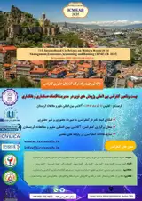 بیست و یکمین کنفرانس بین المللی پژوهش های نوین در مدیریت، اقتصاد،حسابداری و بانکداری