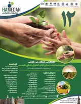 پوستر دوازدهمین همایش بین المللی علوم محیط زیست، صنایع غذایی، کشاورزی و منابع طبیعی