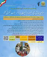 پوستر همایش «بسیج، پیشرفت و امنیت پایدار در منطقه جنوب شرق کشور»