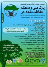 پوستر نخستین جشنواره استانی معرفی اکوسیستم پارک ملی و منطقه حفاظت شده دز