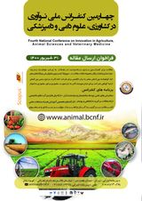 پوستر چهارمین کنفرانس ملی نوآوری در کشاورزی، علوم دامی و دامپزشکی