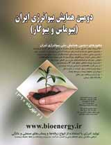 پوستر دومین همایش بیوانرژی ایران (بیوماس و بیوگاز)