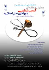 پوستر همایش منطقه ای آسیب شناسی شوراهای حل اختلاف