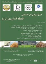پوستر اولین کنفرانس ملی دانشجویی اقتصاد کشاورزی ایران