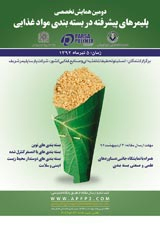 پوستر دومین همایش تخصصی پلیمرهای پیشرفته در بسته بندی مواد غذایی