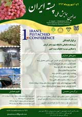 پوستر اولین همایش ملی پسته ایران