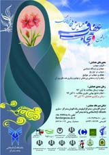 پوستر اولین همایش ملی فرهنگ عفاف و حجاب