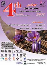 پوستر چهارمین همایش ملی زعفران