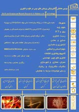 پوستر سومین همایش الکترونیکی پژوهش های نوین در علوم و فناوری