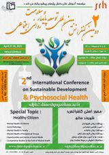 پوستر دومین کنفرانس بین المللی توسعه پایدار و سلامت روانی اجتماعی