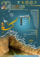 پوستر بیست و دومین کنگره مجازی سالیانه ملی و هشتمین کنگره بین المللی پژوهشی دانشجویان علوم پزشکی