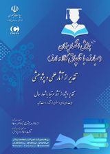 پوستر دومین جشنواره علمی پژوهشی در حوزه «مبارزه با قاچاق کالا و ارز»