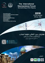 پوستر اولین کنگره بین المللی علوم اعصاب (نوروتکنولوژی و نقشه برداری مغزی)
