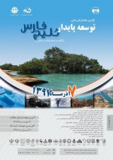 پوستر اولین همایش ملی توسعه پایدار خلیج فارس (اکوسیستم های حساس)
