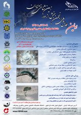 پوستر اولین همایش ملی سنجش از دور زمین شناختی ایران